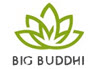 Big Buddhi